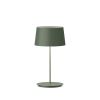 Vibia Warm 4896 Tischleuchte grün